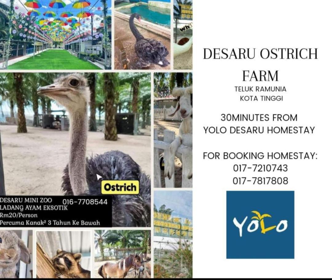 Desaru Homestay-Eva Villa Pool Homestay By Yolo Resort Bandar Penawar Экстерьер фото